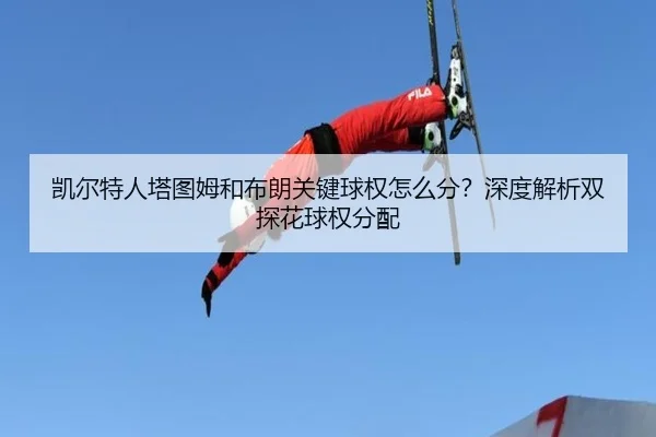 凯尔特人塔图姆和布朗关键球权怎么分？深度解析双探花球权分配